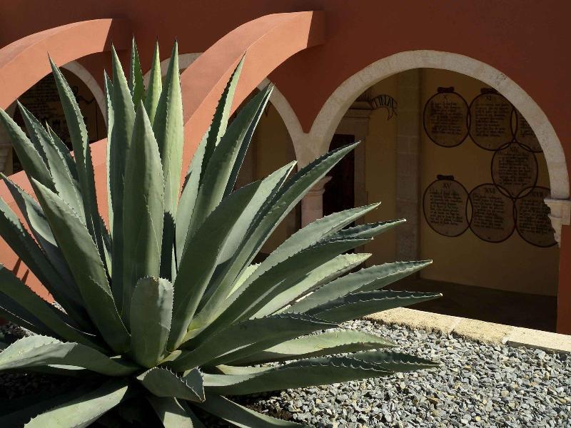 Ibis Aguascalientes Norte Экстерьер фото